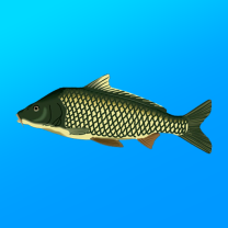 True Fishing v1.17.0.844 MOD APK [Unlimited Money]